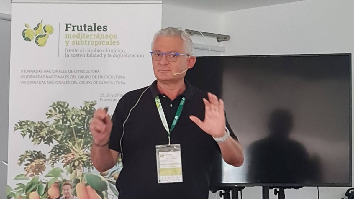 Alfocea cerca b|Alfocea 20240627_103727 recort b|Alfocea 20240627_103727 recort b